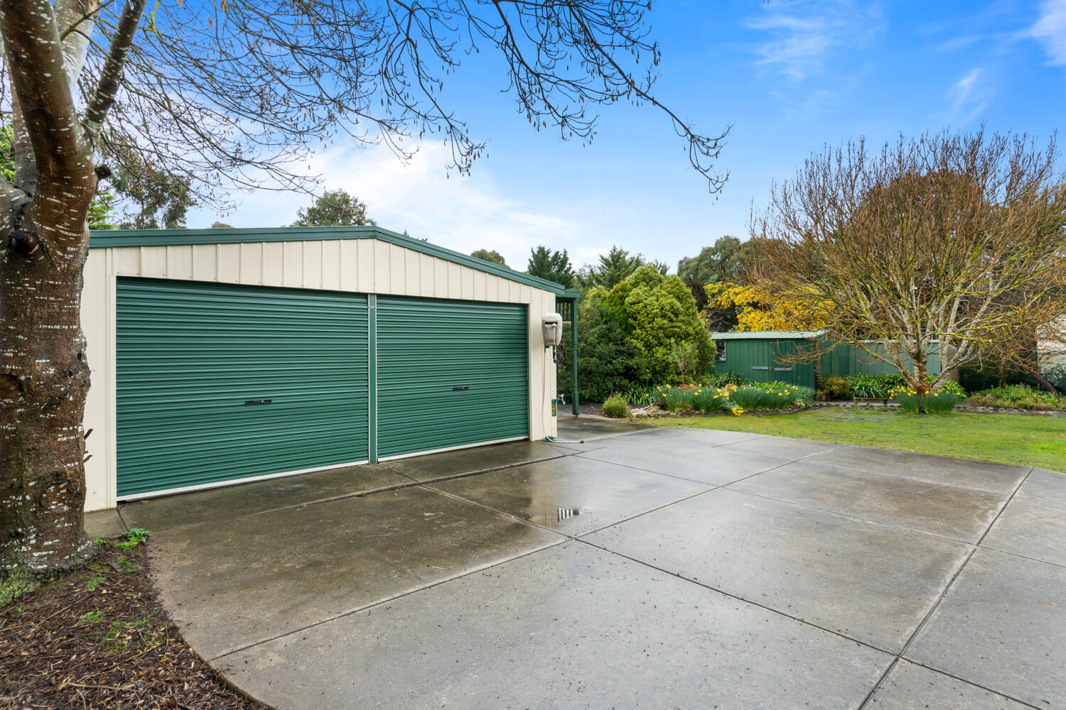 41 Joseph Avenue New Gisborne